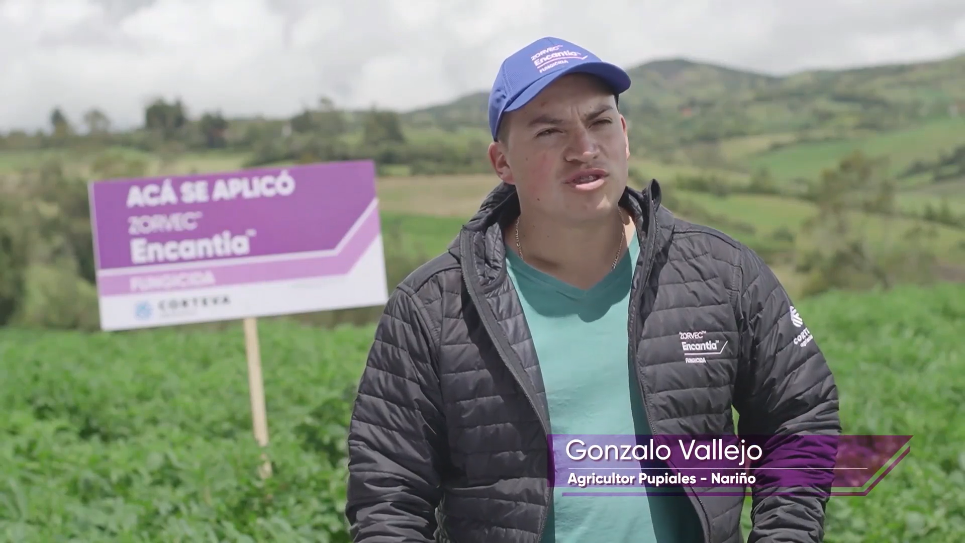 Nariño-Zorvec-Gonzalo-Vallejo-Baja